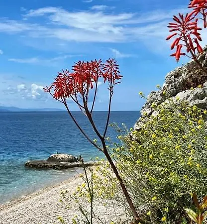 žiži Exclusive * Tučepi